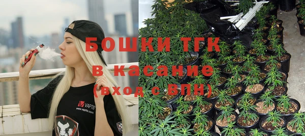 Альфа ПВП Горно-Алтайск