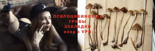 apvp Горнозаводск