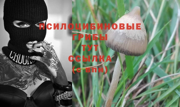 apvp Горнозаводск