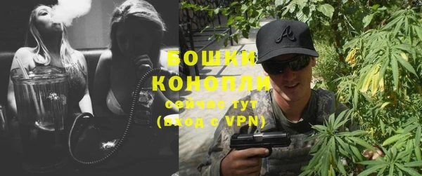 apvp Горнозаводск