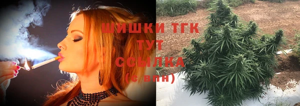 Альфа ПВП Горно-Алтайск