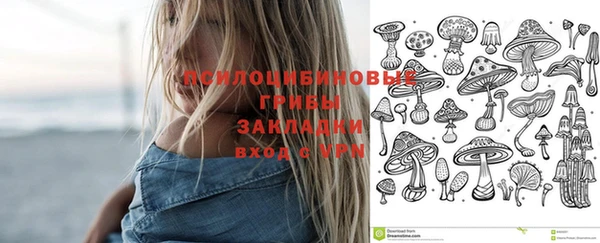 apvp Горнозаводск
