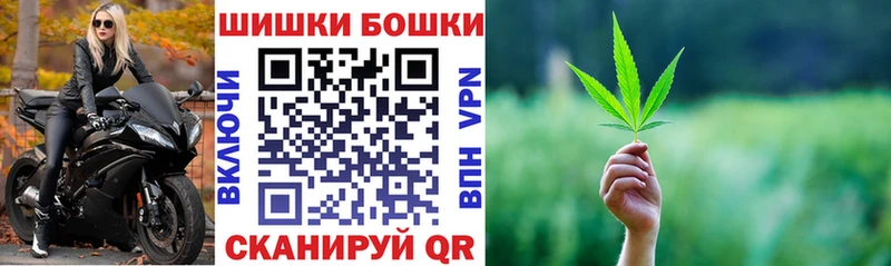 Купить  Лагань  Канабис индика 